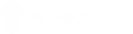 wiseamigo logo